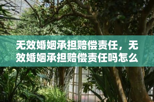 无效婚姻承担赔偿责任，无效婚姻承担赔偿责任吗怎么判