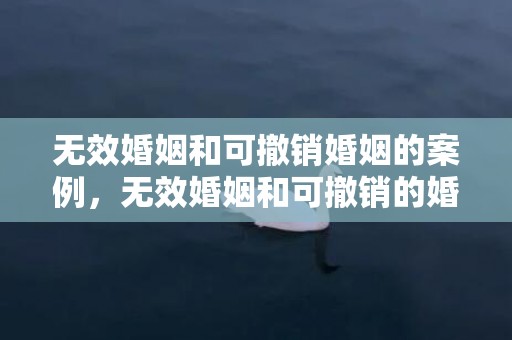 无效婚姻和可撤销婚姻的案例，无效婚姻和可撤销的婚姻一样吗为什么，无效婚姻和撤销婚姻包括重婚的