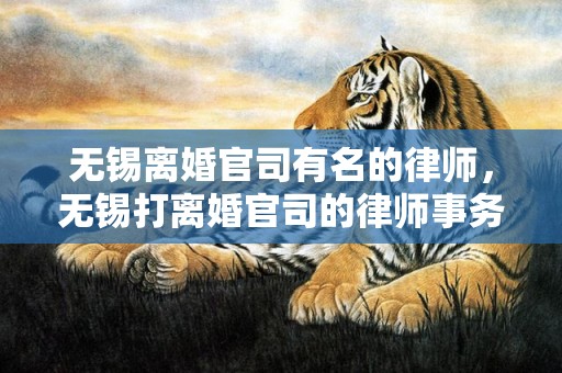 无锡离婚官司有名的律师，无锡打离婚官司的律师事务所有哪些