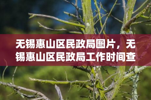 无锡惠山区民政局图片，无锡惠山区民政局工作时间查询(无锡惠山区婚姻登记中心)