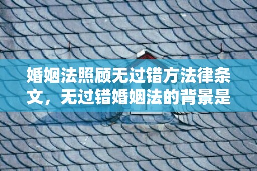 婚姻法照顾无过错方法律条文，无过错婚姻法的背景是什么意思，新婚姻法对过错方有什么规定