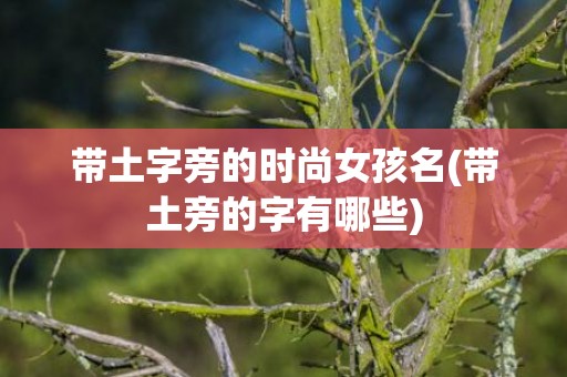 带土字旁的时尚女孩名(带土旁的字有哪些)