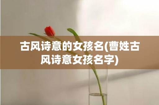 古风诗意的女孩名(曹姓古风诗意女孩名字)