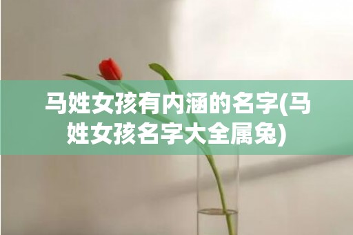 马姓女孩有内涵的名字(马姓女孩名字大全属兔)