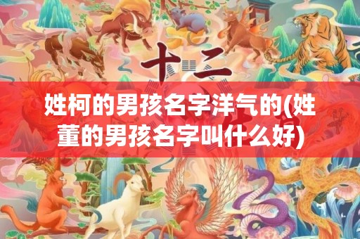 姓柯的男孩名字洋气的(姓董的男孩名字叫什么好)