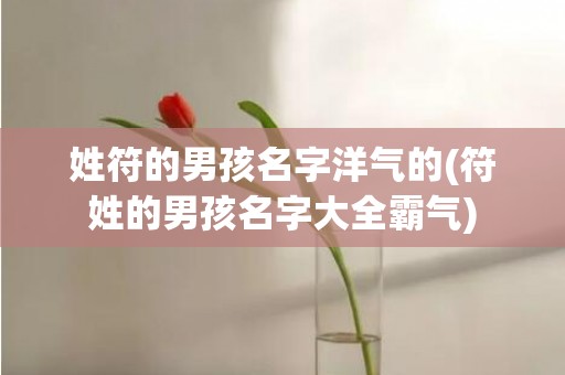 姓符的男孩名字洋气的(符姓的男孩名字大全霸气)