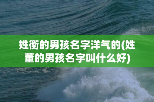 姓衡的男孩名字洋气的(姓董的男孩名字叫什么好)