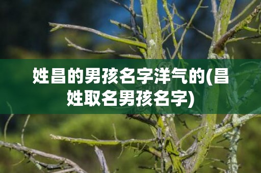 姓昌的男孩名字洋气的(昌姓取名男孩名字)