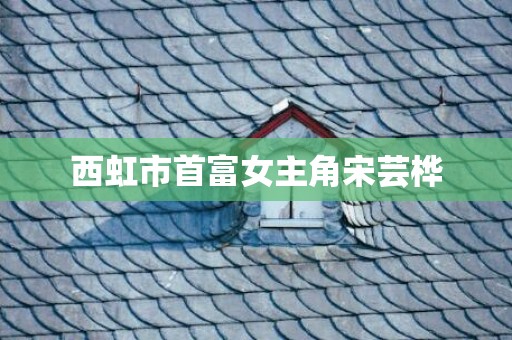 西虹市首富女主角宋芸桦