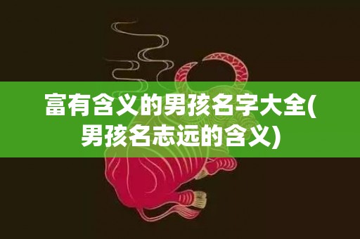 富有含义的男孩名字大全(男孩名志远的含义)