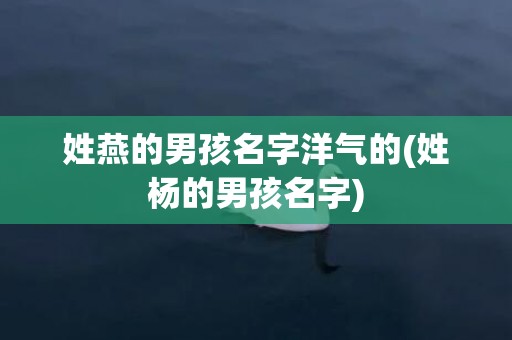 姓燕的男孩名字洋气的(姓杨的男孩名字)