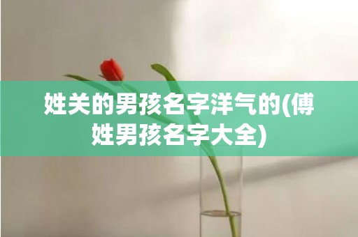 姓关的男孩名字洋气的(傅姓男孩名字大全)