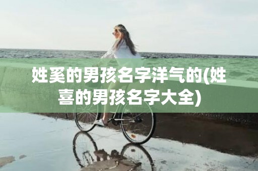姓奚的男孩名字洋气的(姓喜的男孩名字大全)