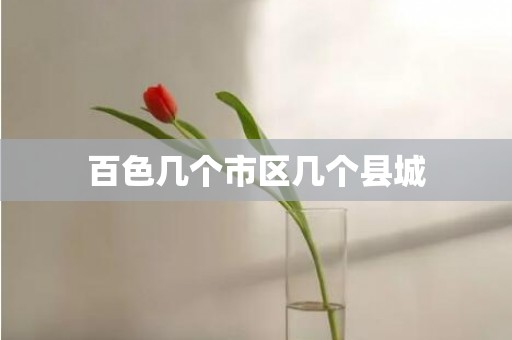 百色几个市区几个县城