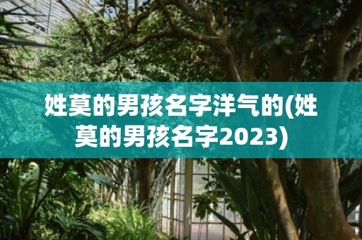 姓莫的男孩名字洋气的(姓莫的男孩名字2023)