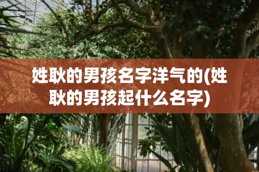 姓耿的男孩名字洋气的(姓耿的男孩起什么名字)