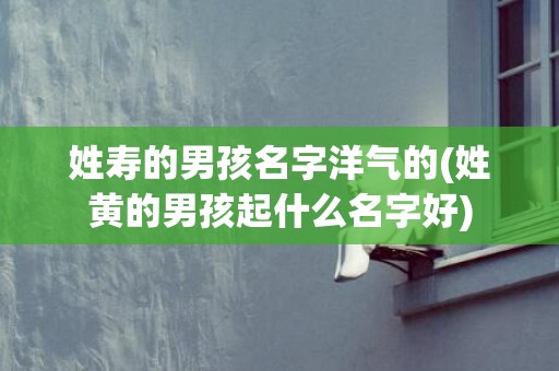 姓寿的男孩名字洋气的(姓黄的男孩起什么名字好)