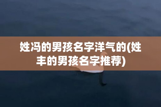 姓冯的男孩名字洋气的(姓丰的男孩名字推荐)
