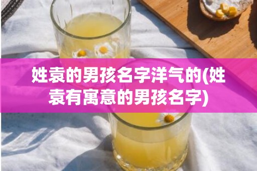 姓袁的男孩名字洋气的(姓袁有寓意的男孩名字)