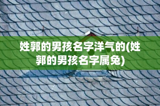 姓郭的男孩名字洋气的(姓郭的男孩名字属兔)