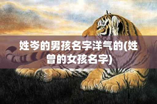 姓岑的男孩名字洋气的(姓曾的女孩名字)