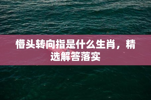 懵头转向指是什么生肖，精选解答落实