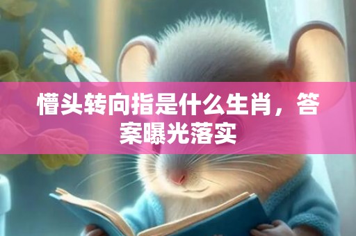 懵头转向指是什么生肖，答案曝光落实