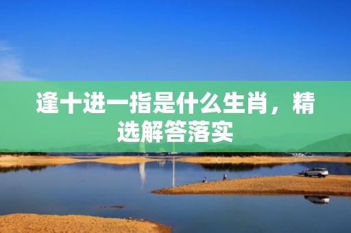 逢十进一指是什么生肖，精选解答落实