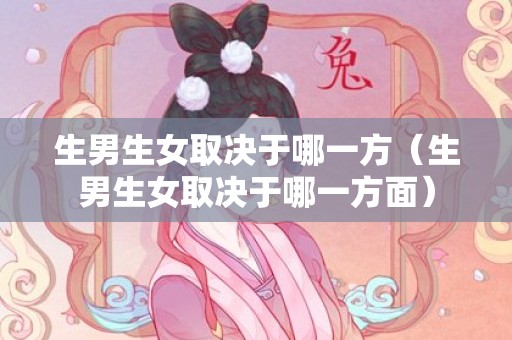 生男生女取决于哪一方（生男生女取决于哪一方面）
