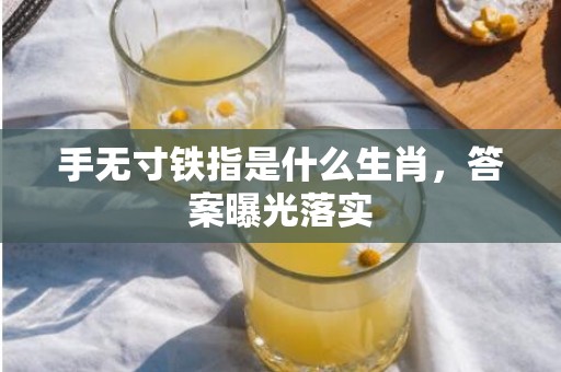 手无寸铁指是什么生肖，答案曝光落实