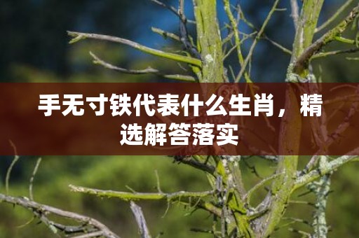 手无寸铁代表什么生肖，精选解答落实