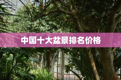 中国十大盆景排名价格