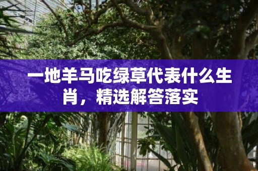 一地羊马吃绿草代表什么生肖，精选解答落实