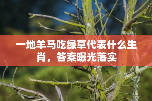 一地羊马吃绿草代表什么生肖，答案曝光落实