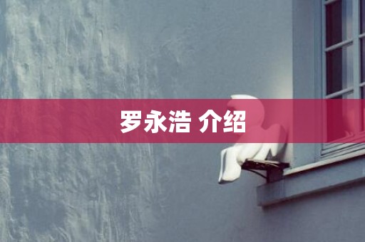 罗永浩 介绍