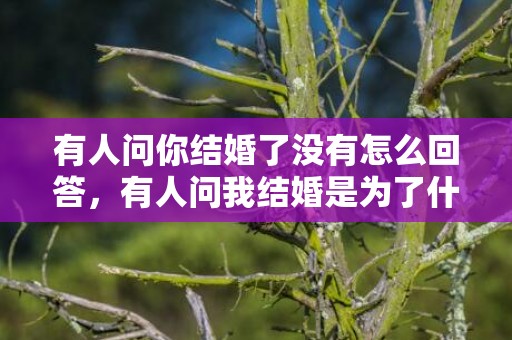 有人问你结婚了没有怎么回答，有人问我结婚是为了什么