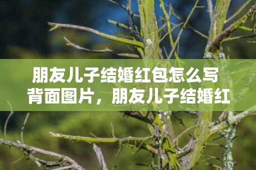 朋友儿子结婚红包怎么写 背面图片，朋友儿子结婚红包贺词8个字