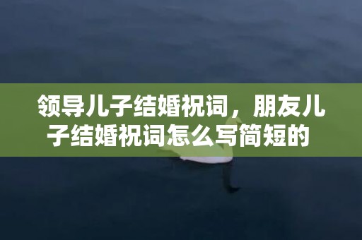 领导儿子结婚祝词，朋友儿子结婚祝词怎么写简短的 爸爸祝儿子新婚祝福语