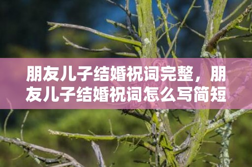 朋友儿子结婚祝词完整，朋友儿子结婚祝词怎么写简短一点的话呢，朋友的儿子结婚祝福语怎么写祝福语