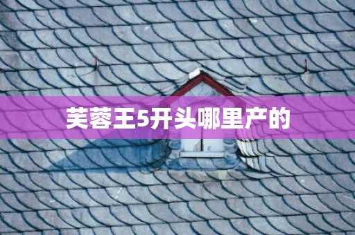 芙蓉王5开头哪里产的