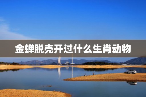 金蝉脱壳开过什么生肖动物