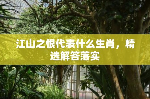 江山之恨代表什么生肖，精选解答落实