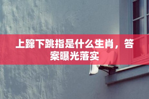 上蹿下跳指是什么生肖，答案曝光落实