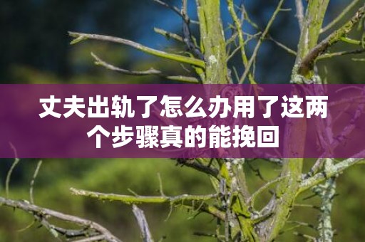 丈夫出轨了怎么办用了这两个步骤真的能挽回
