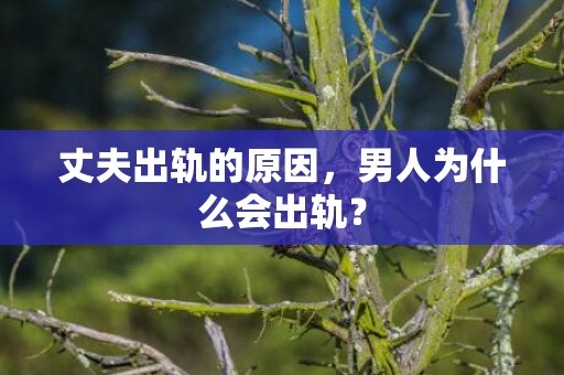 丈夫出轨的原因，男人为什么会出轨？