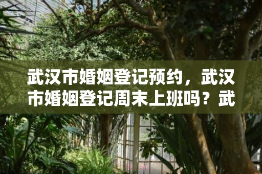 武汉市婚姻登记预约，武汉市婚姻登记周末上班吗？武汉民政局周六上班吗