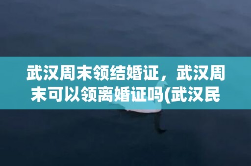 武汉周末领结婚证，武汉周末可以领离婚证吗(武汉民政局周六上班吗)