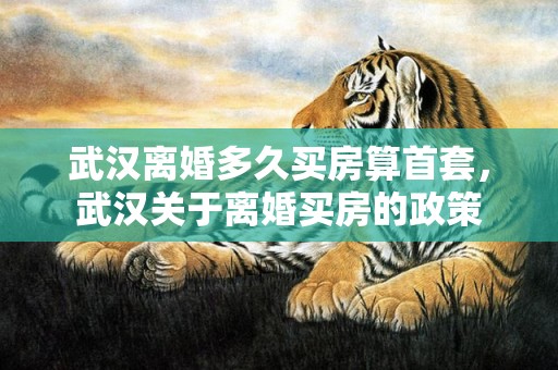 武汉离婚多久买房算首套，武汉关于离婚买房的政策