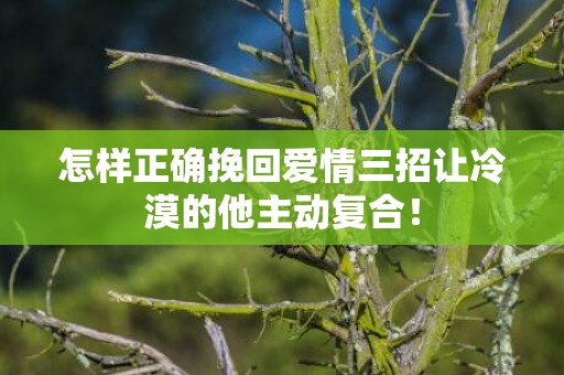 怎样正确挽回爱情三招让冷漠的他主动复合！