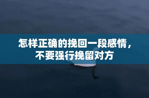 怎样正确的挽回一段感情，不要强行挽留对方
